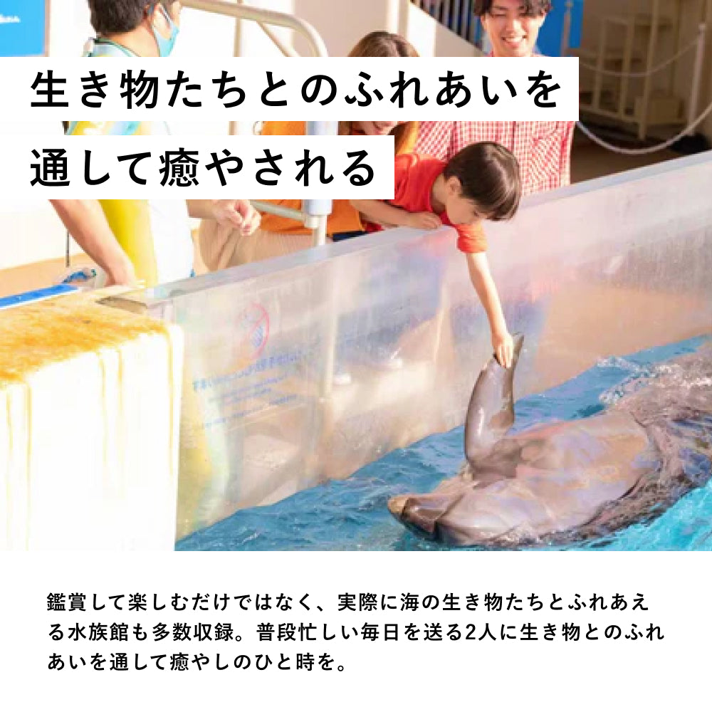 Aquarium TICKET(ペア)