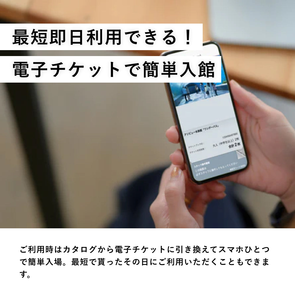 ONSEN TICKET(ペア)
