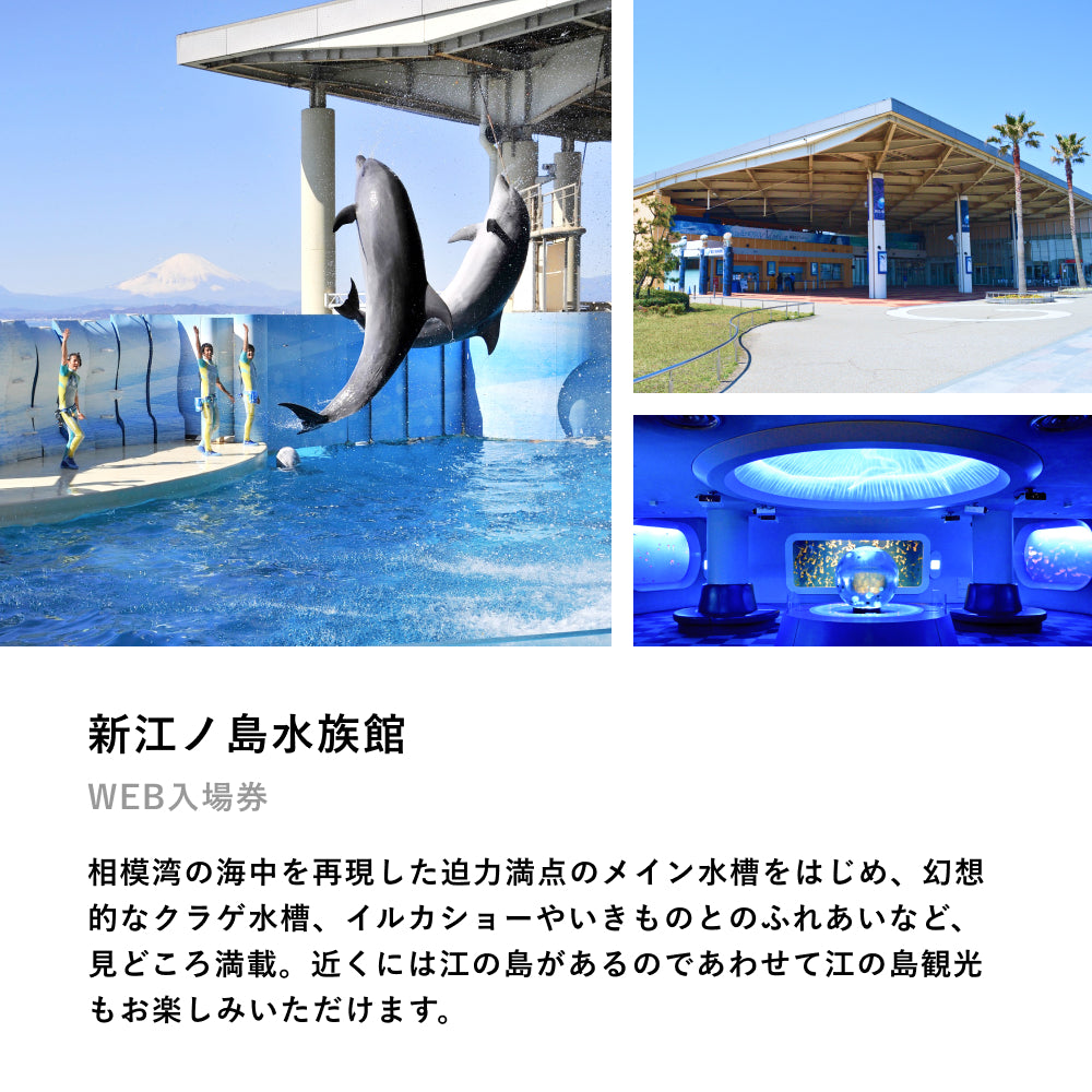 Aquarium TICKET(ペア)