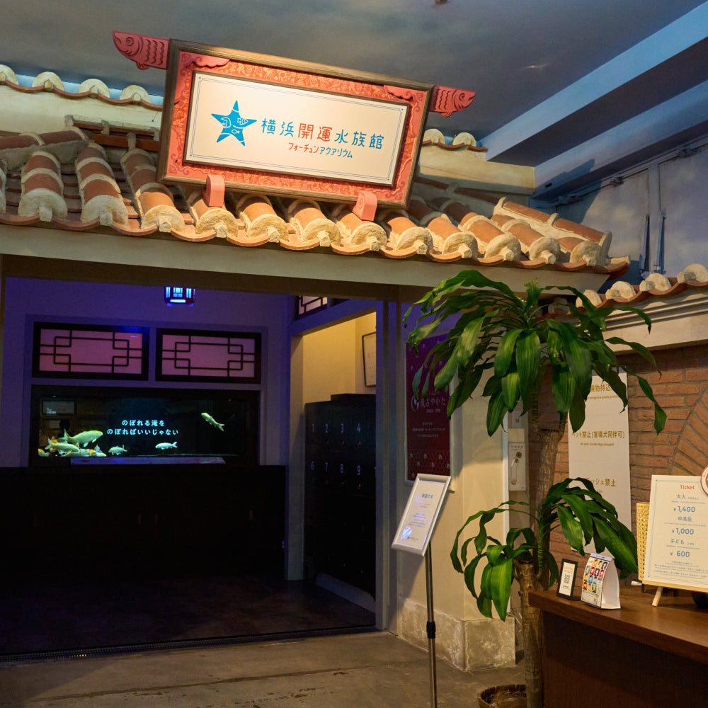 横浜開運水族館フォーチューンアクアリウム 入場券 ギフトチケット