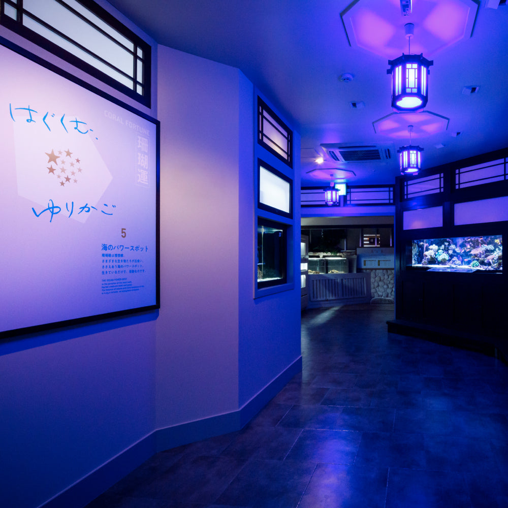 横浜開運水族館フォーチューンアクアリウム 入場券 ギフトチケット