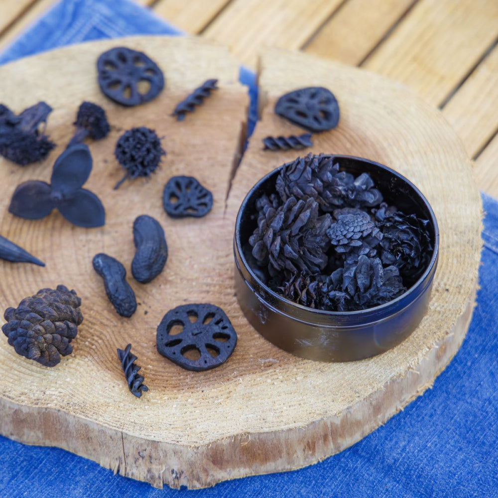 Gakken×アソビュー!「キャンプやアウトドア時間におすすめ!体験セット」