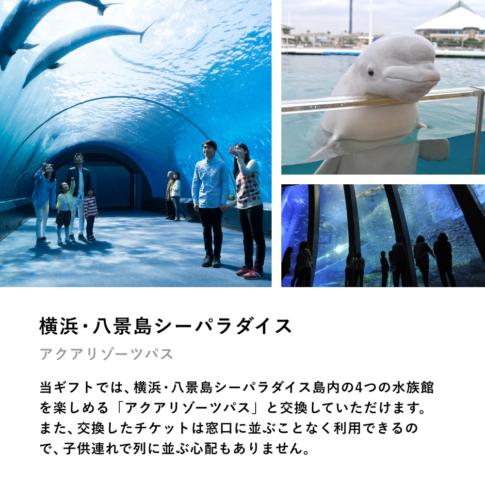 家族のためのこどもとお出かけギフト