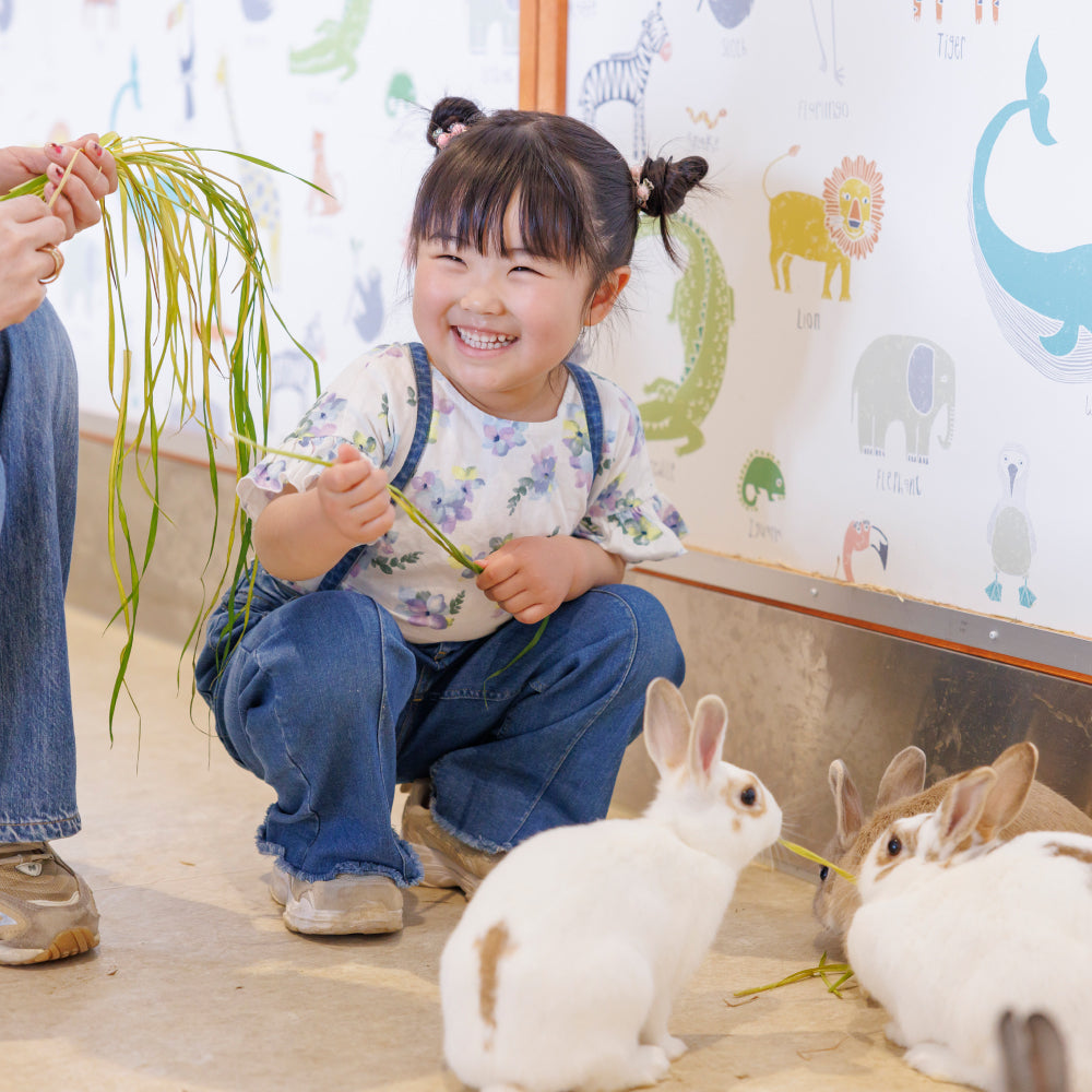 東京ドームシティの人気施設遊び放題!【まるごとパスポート】ギフトチケット