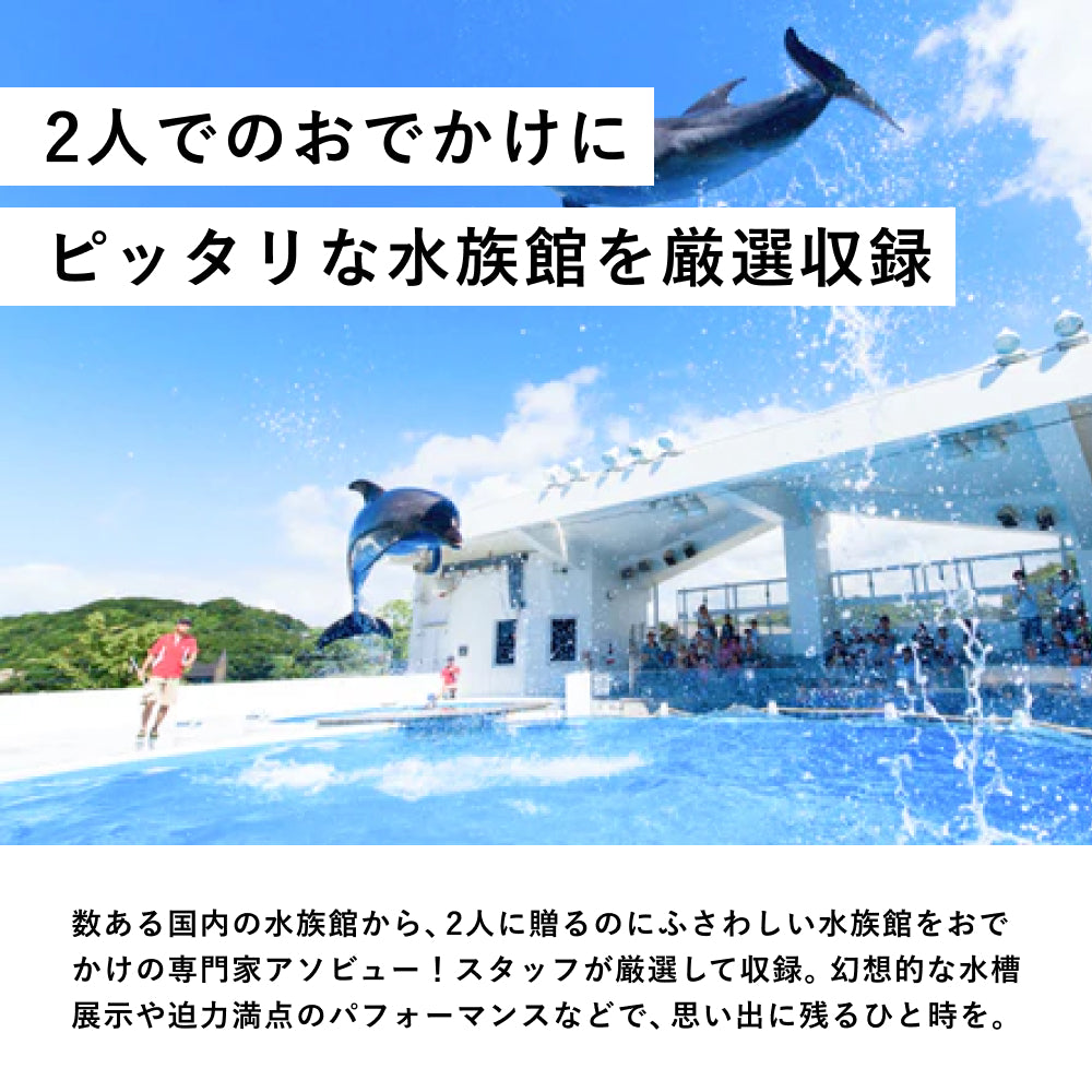 Aquarium TICKET(ペア)