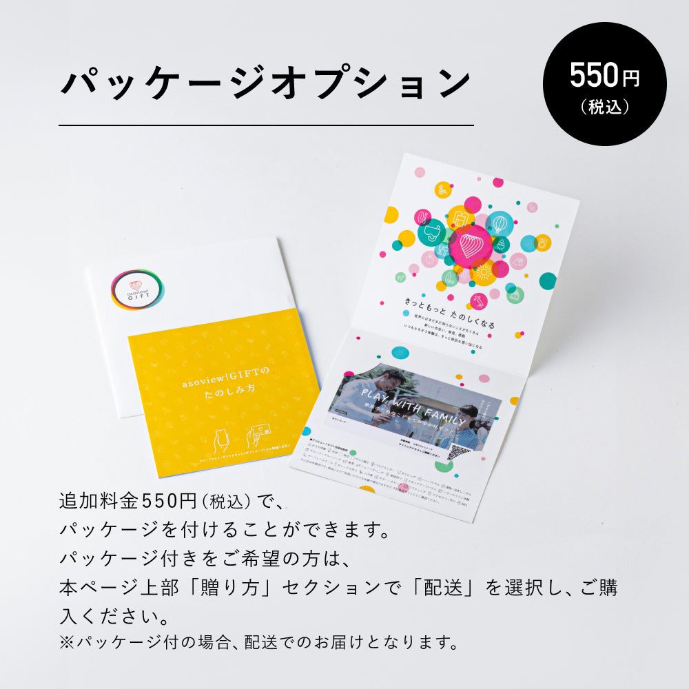 家族のためのこどもとお出かけギフト