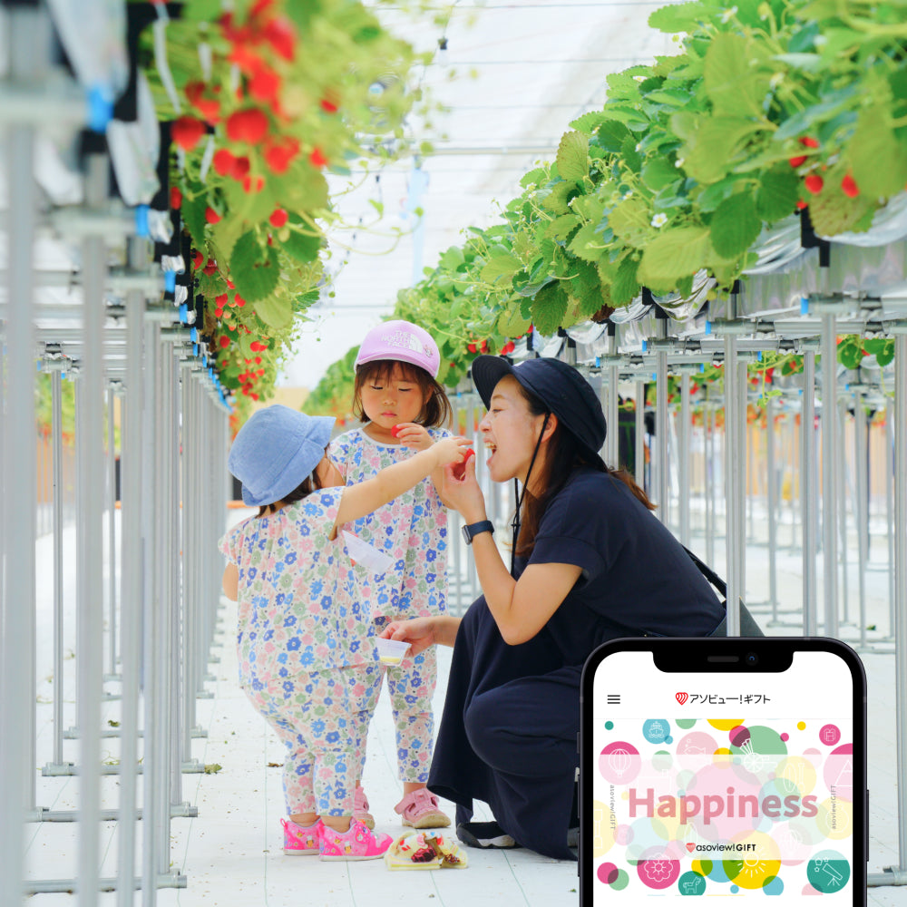 アソビュー!体験ギフト 総合カタログ Happiness(ハピネス)