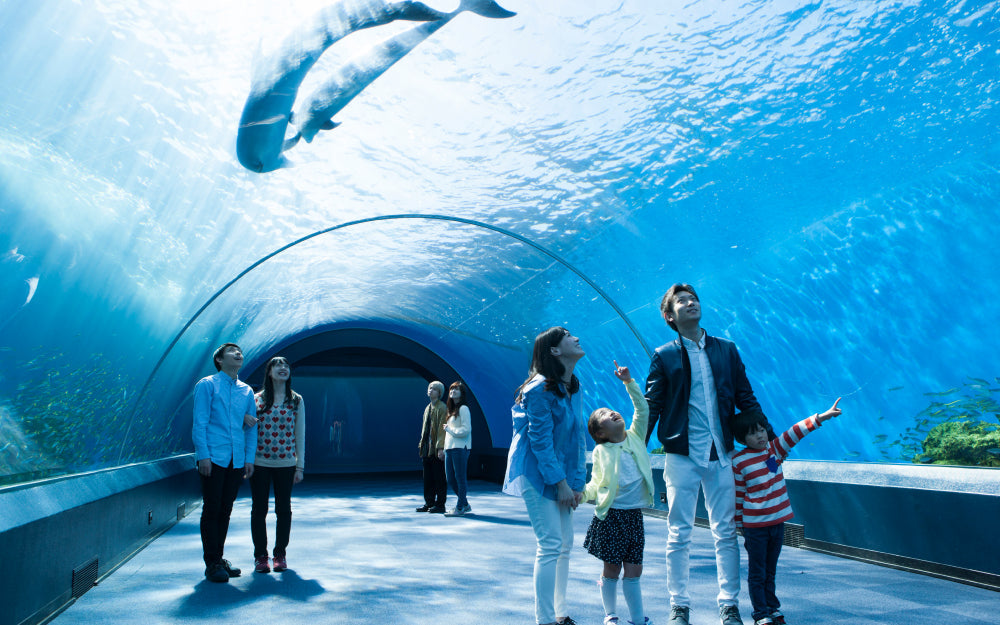 横浜・八景島シーパラダイス ギフト券一覧 – アソビュー！ギフト