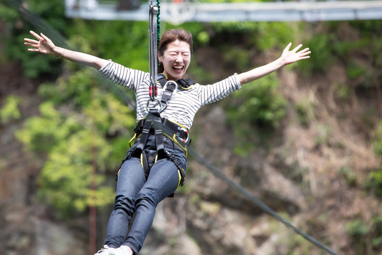 EXCITINGシリーズ