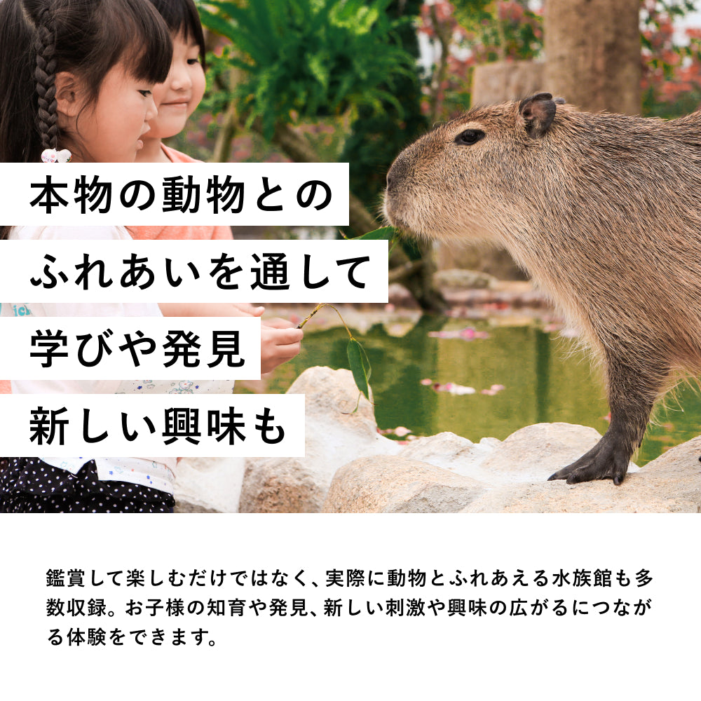 人気動物園に家族で行ける「ZOO TICKET （ファミリー） 」 丨体験