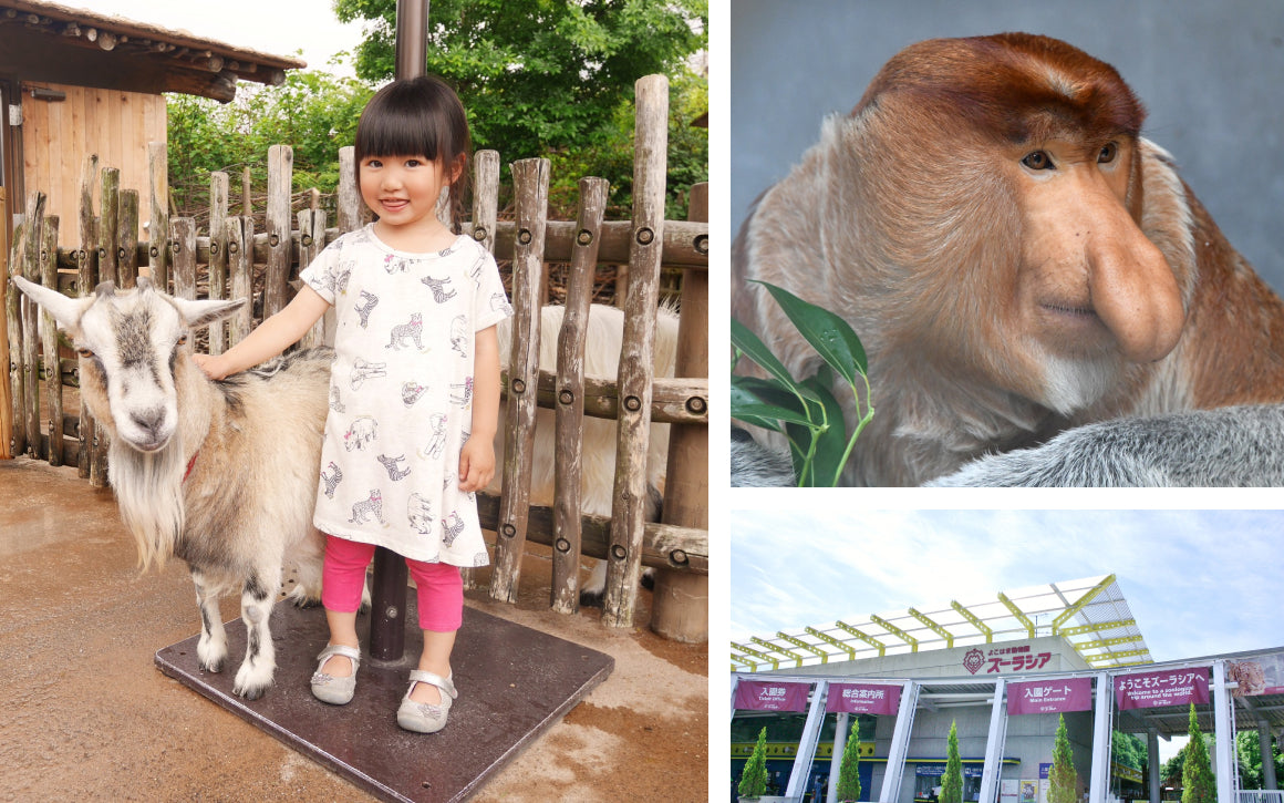 人気動物園に家族で行ける「ZOO TICKET （ファミリー） 」 丨体験ギフトならアソビュー！ギフト