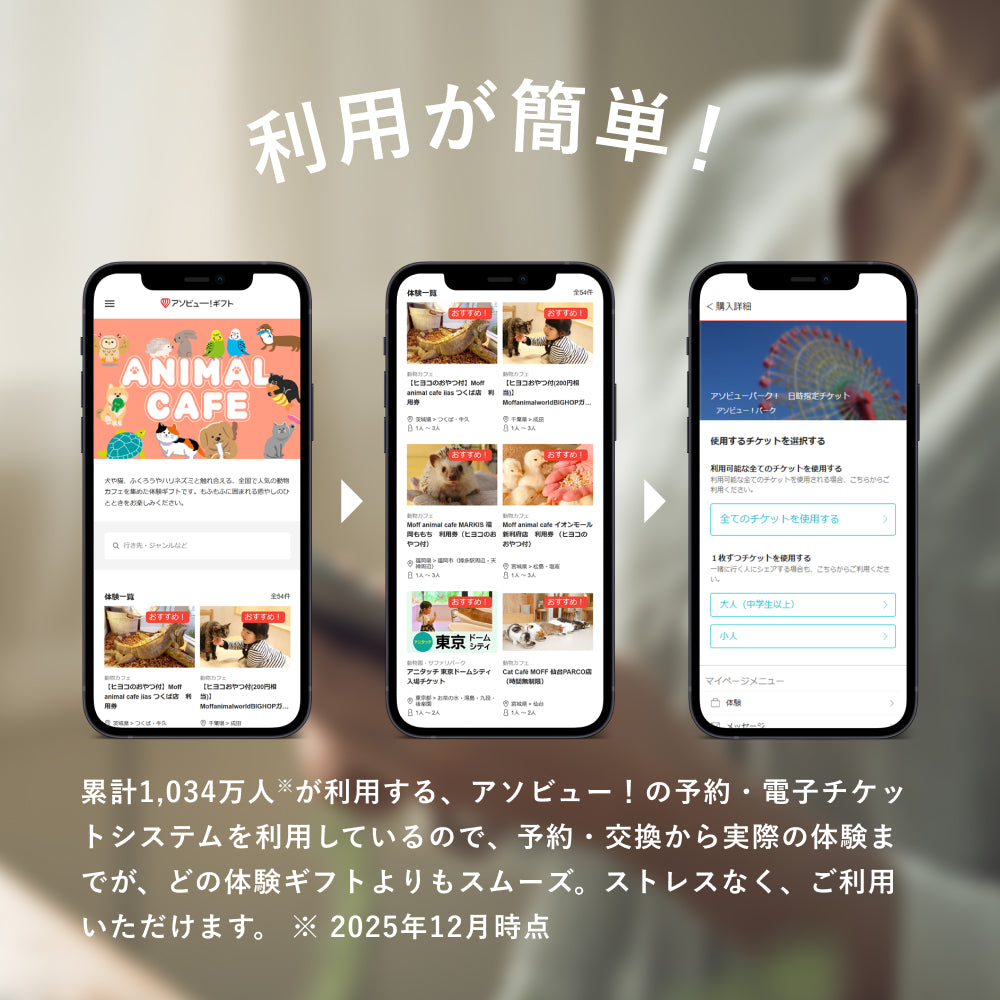 癒しの動物カフェギフト