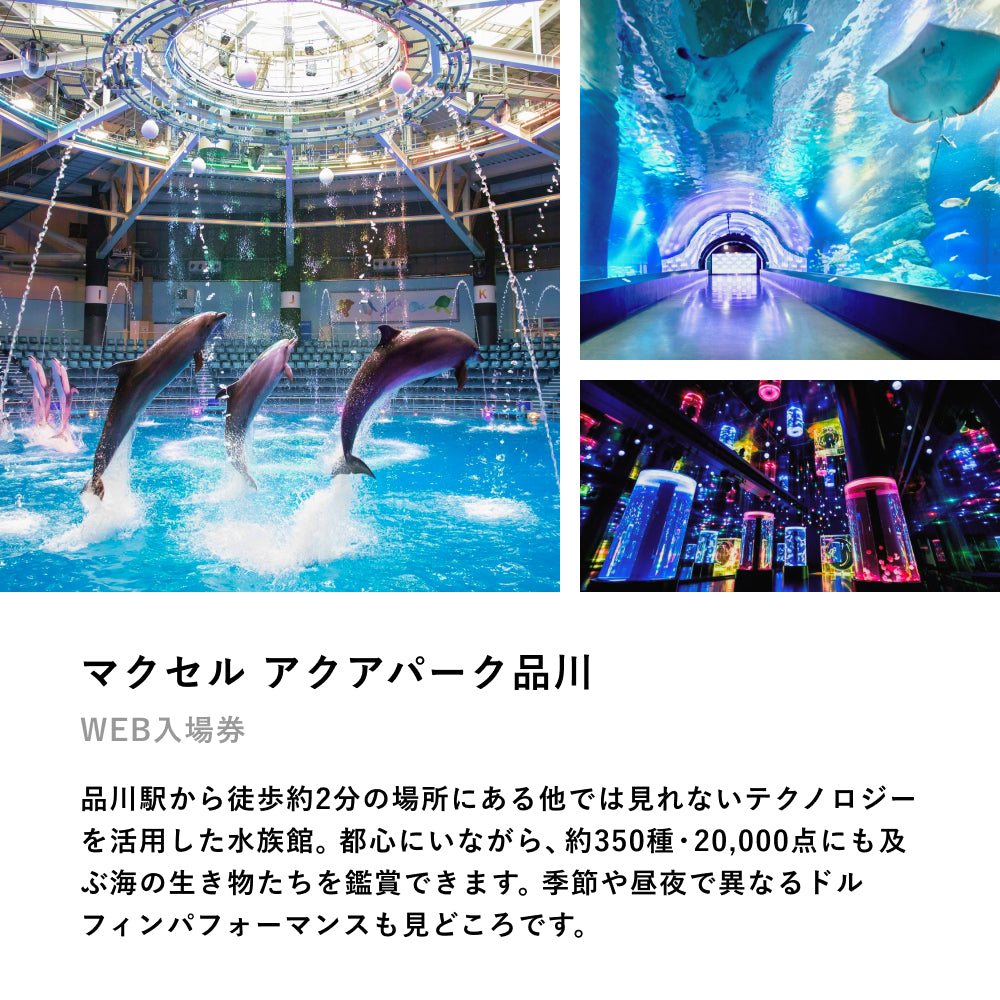 京都水族館 チケット 大人２枚 - 水族館