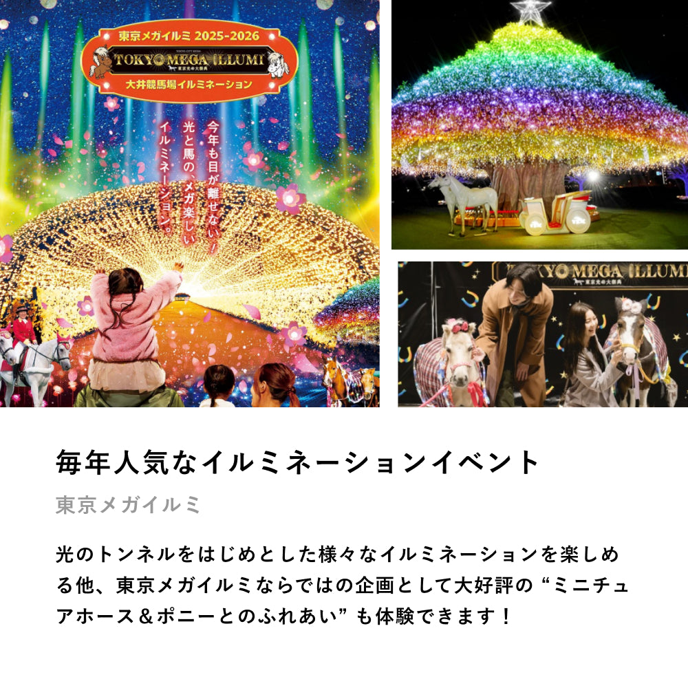 クリスマスおでかけBOX