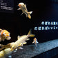 横浜開運水族館フォーチューンアクアリウム 入場券 ギフトチケット