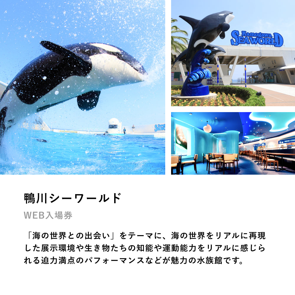 人気水族館に2人で行けるチケット「Aquarium TICKET（ペア） 」丨体験