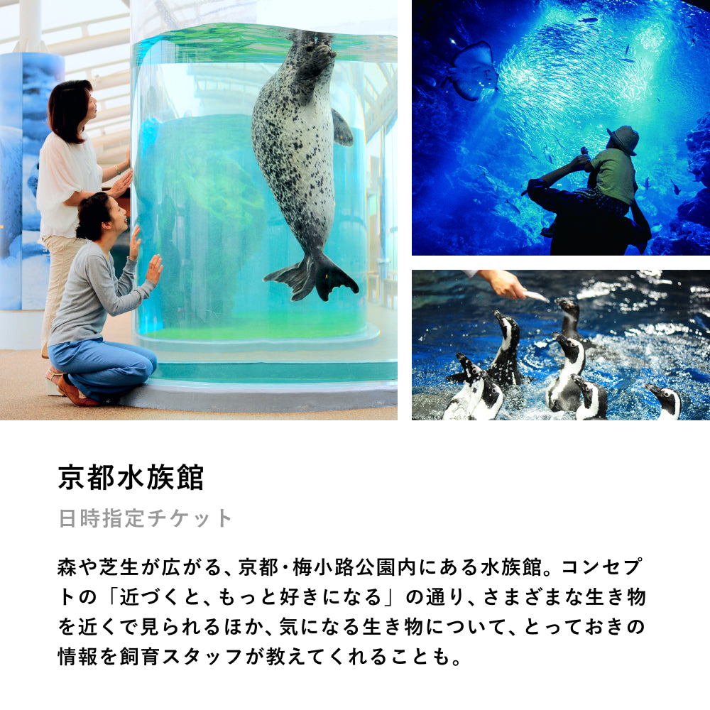 Aquarium TICKET（ペア）