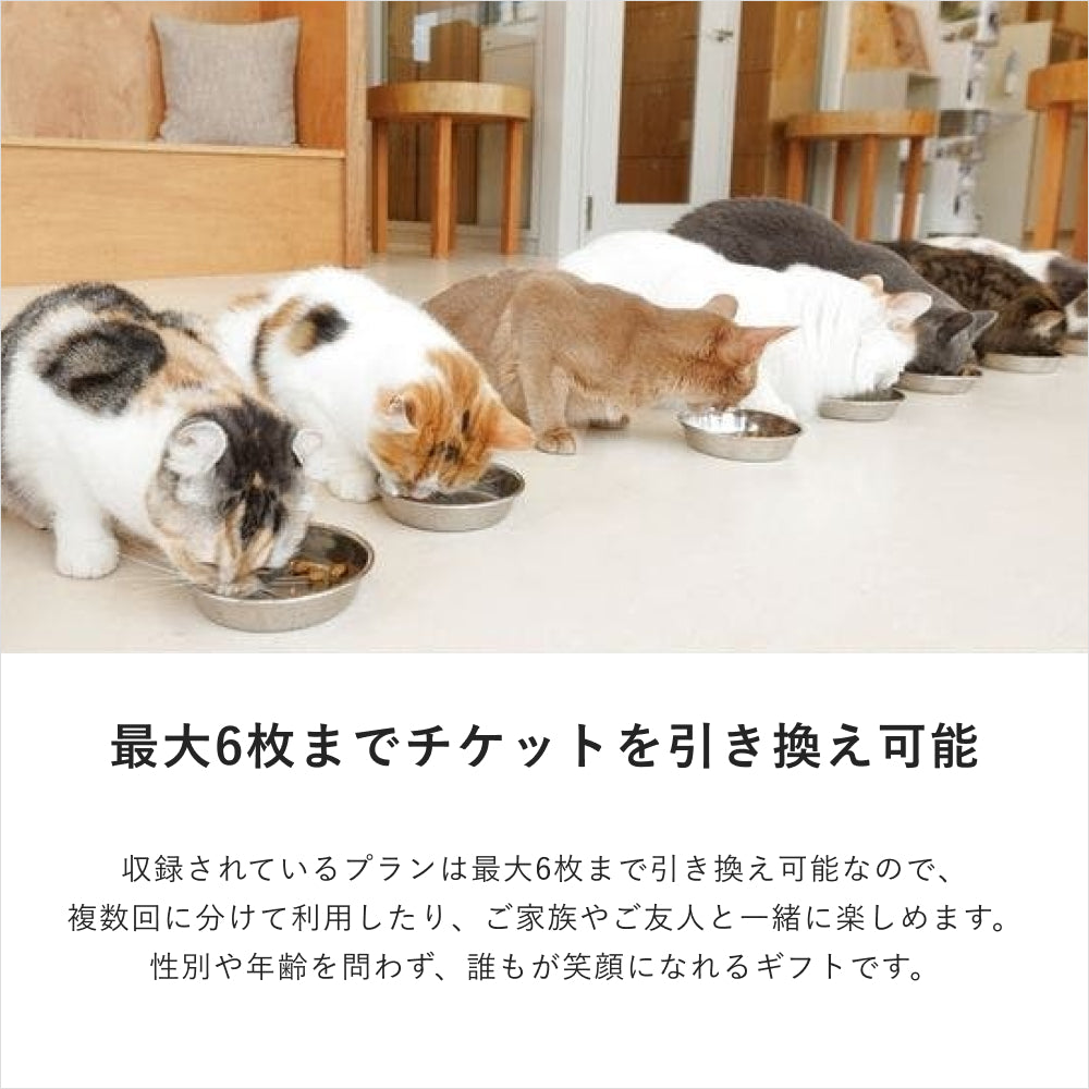 癒しの動物カフェギフト