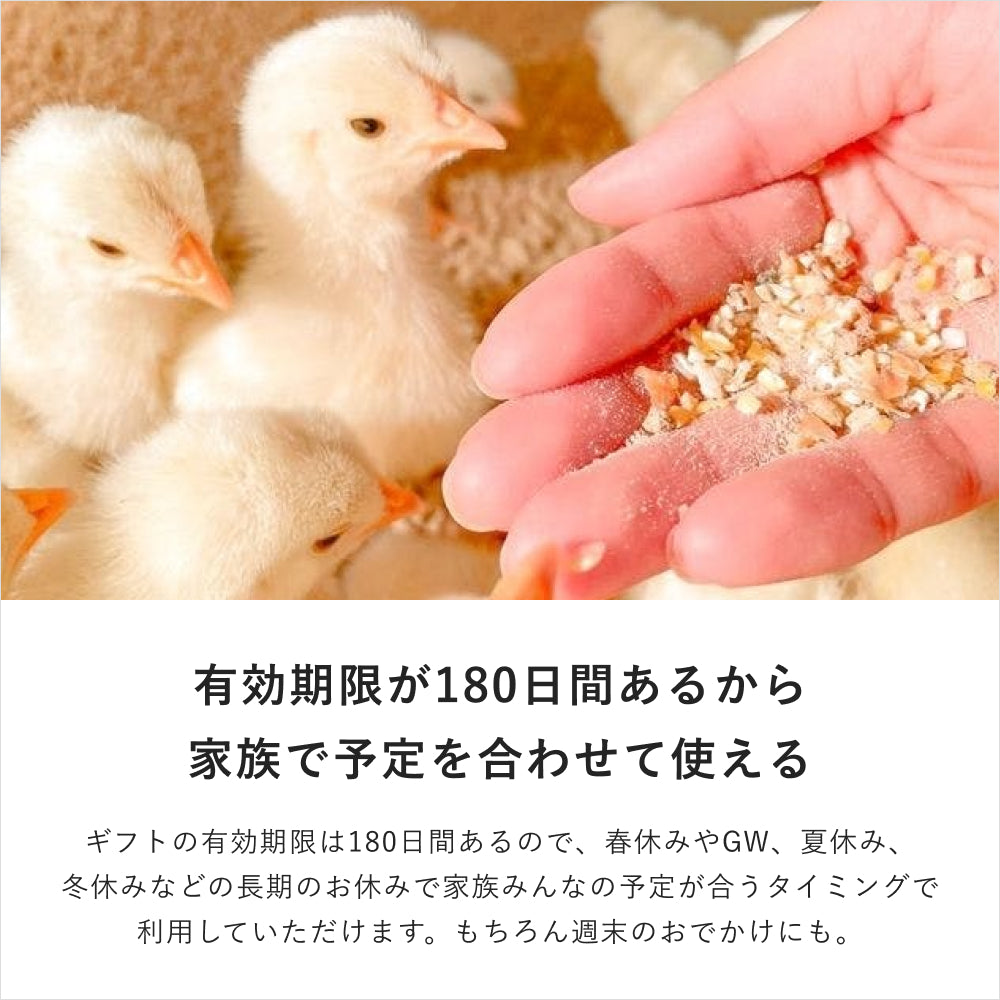 癒しの動物カフェギフト