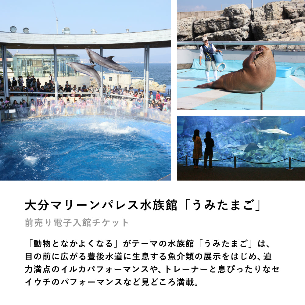 大分マリーンパレス水族館 うみたまご 入館割引券 2枚 - 水族館