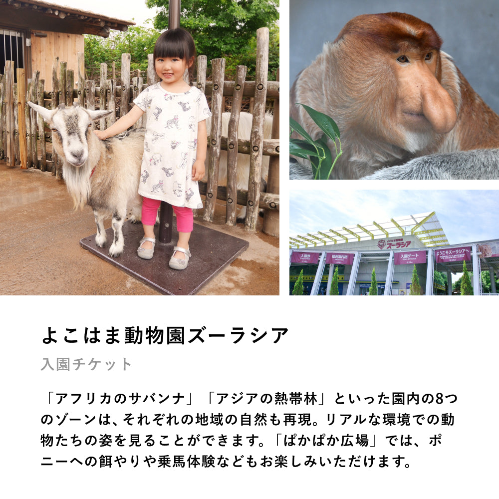 人気動物園に家族で行ける「ZOO TICKET （ファミリー） 」 丨体験ギフトならアソビュー！ギフト