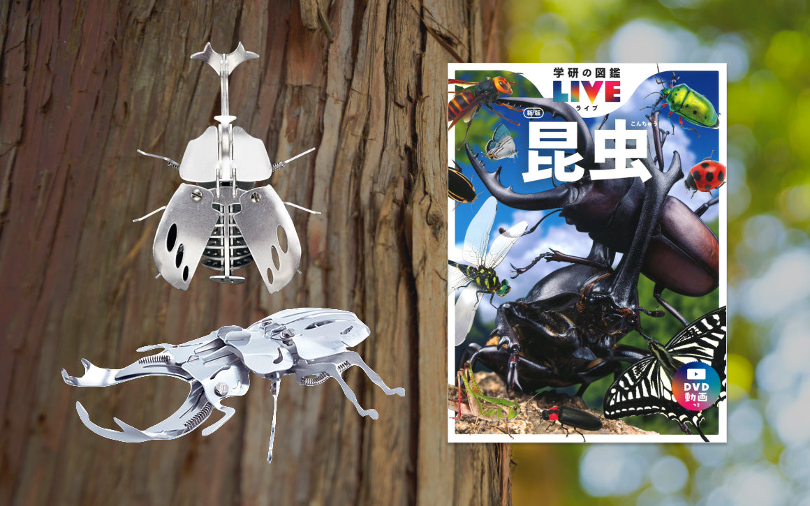Gakken×アソビュー！「昆虫マニアセット」｜体験ギフトならアソビュー