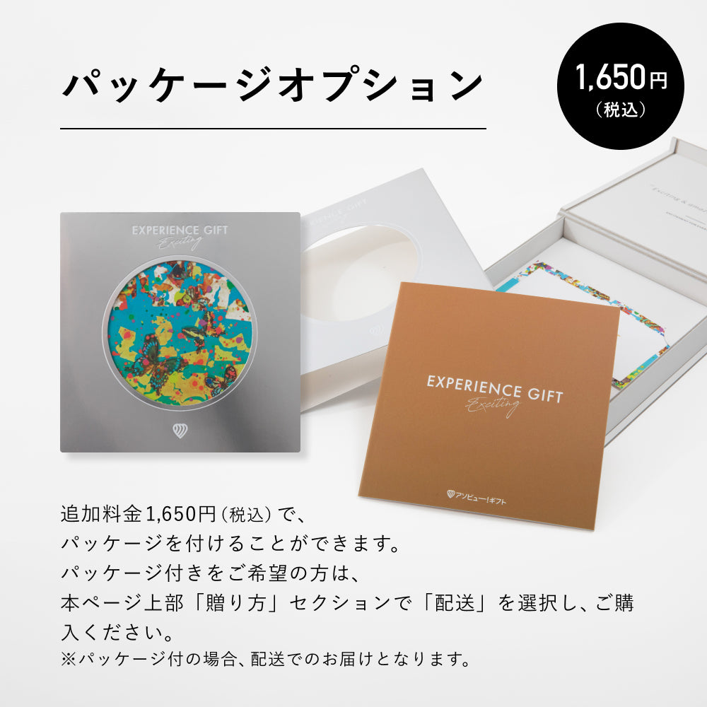 今月限定アソブュー 体験ギフト EXPERIENCE GIFT その他