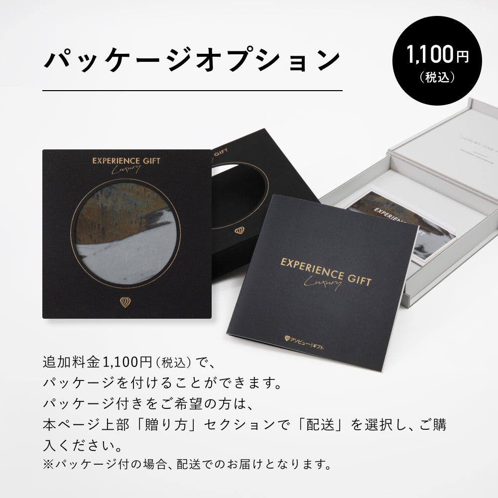 定価36300円アソビュー　体験ギフト　EXPERIENCE GIFT LUXURY