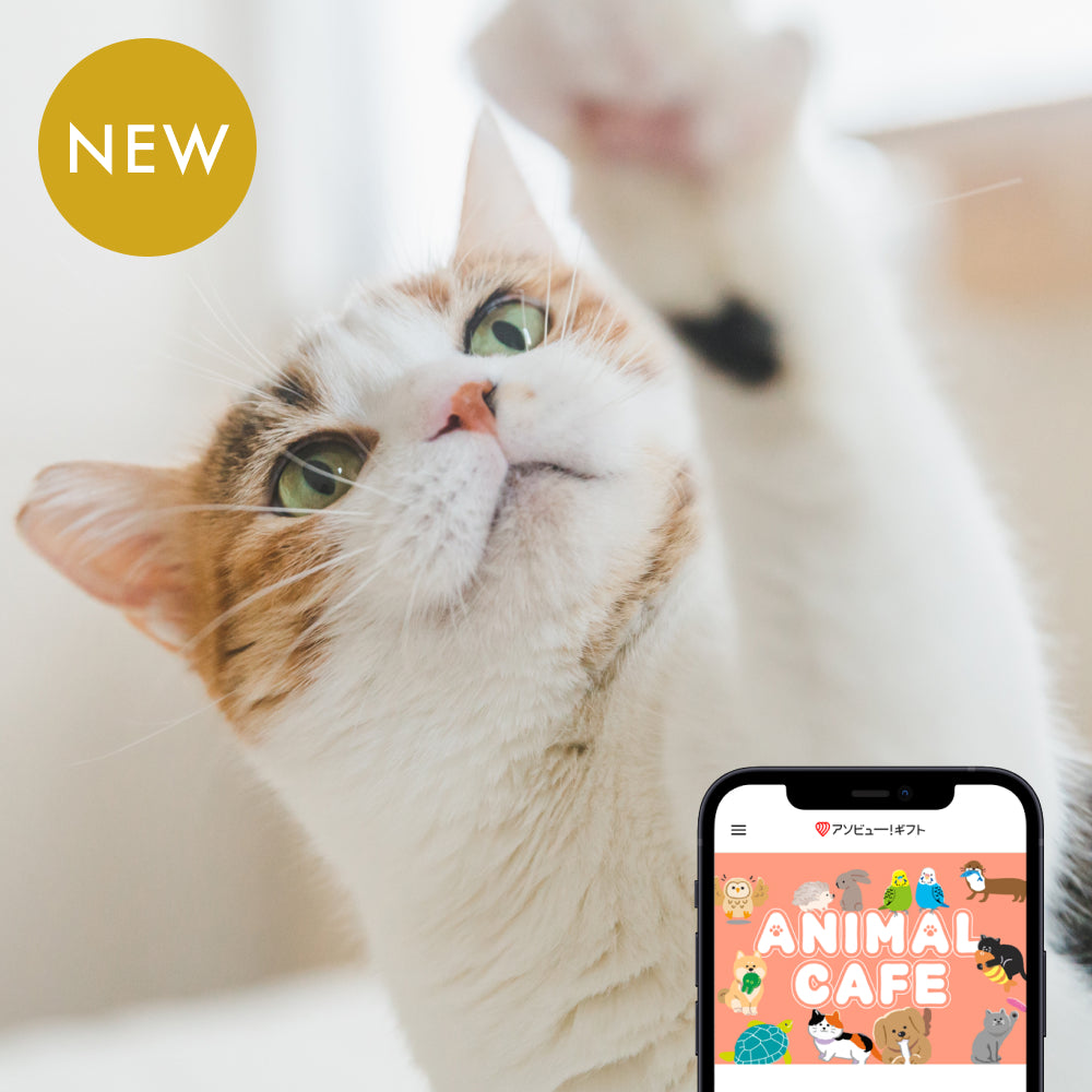 癒しの動物カフェギフト