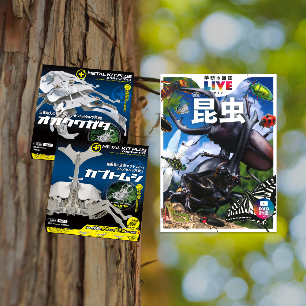 昆虫フィールド　　創刊号〜No.92 昆虫フィールド 創刊号〜No.92 昆虫フィールド 創刊号〜No.92