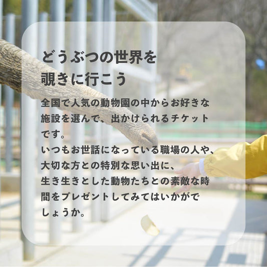 動物園・サファリパークギフト